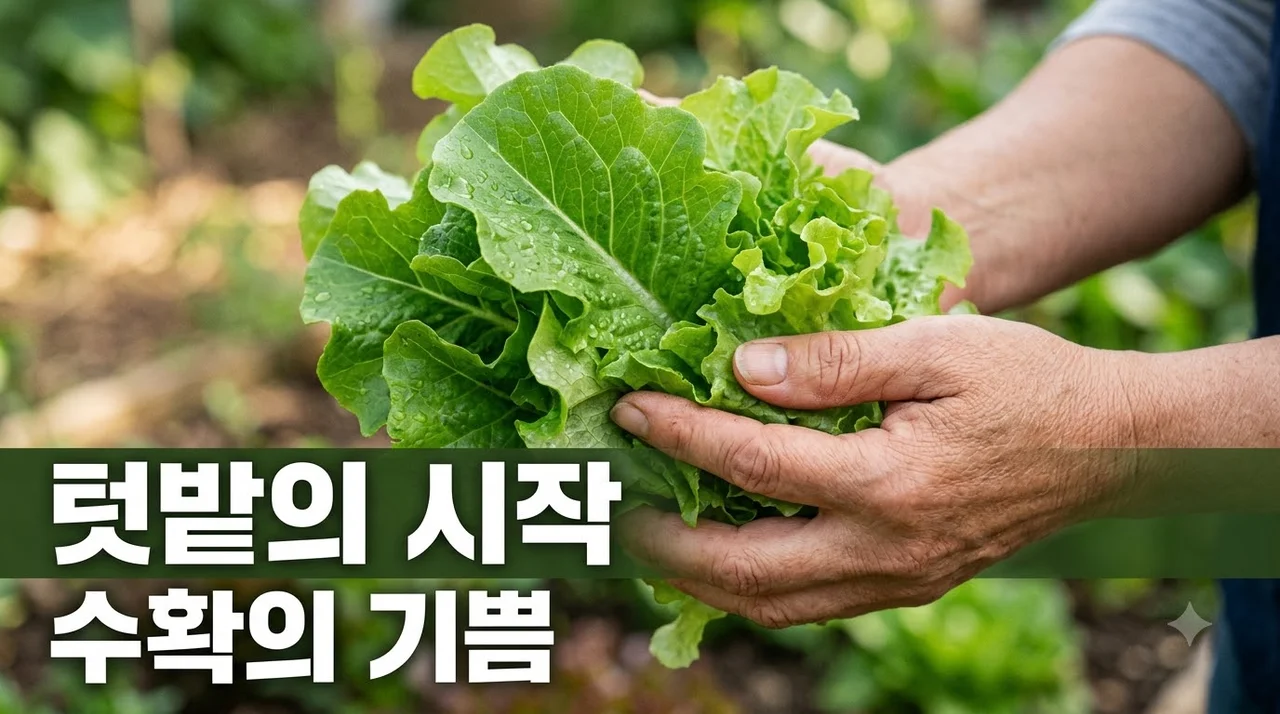 텃밭 채소 재배, 초보도 성공하는 7단계 완벽 가이드!