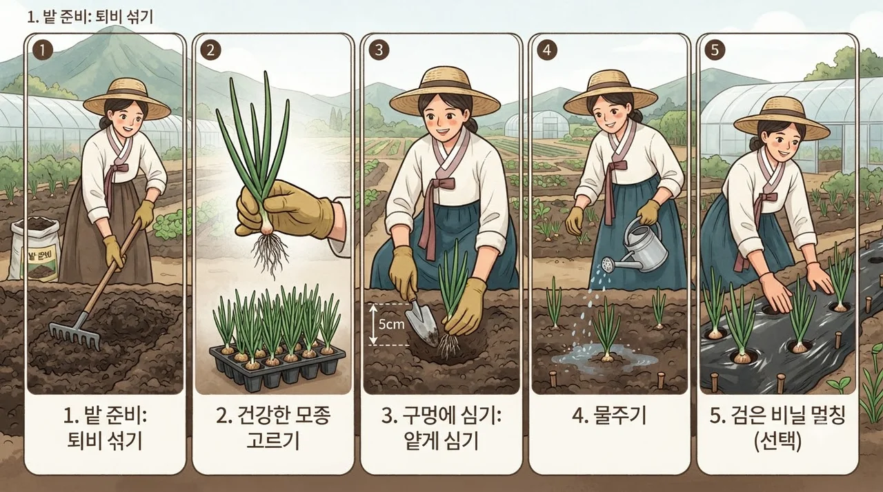 성공적인 양파 모종 심기, 따라 하기 쉬운 5단계 가이드