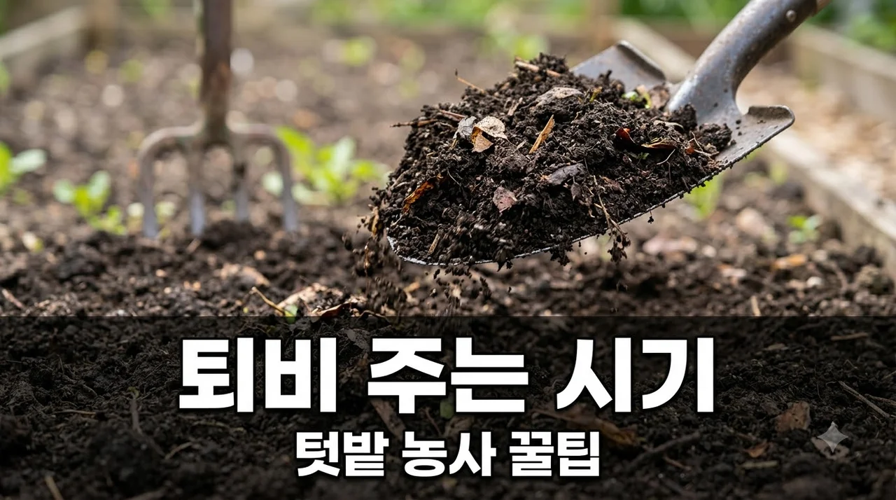 텃밭에 퇴비 주는 시기, 초보도 성공하는 3단계 비법 총정리!
