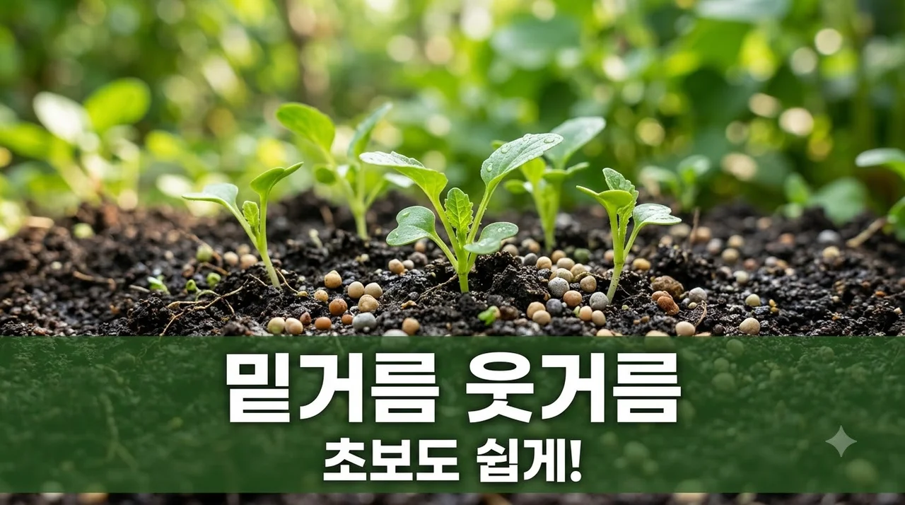 밑거름과 웃거름, 차이점 완벽 정리! 초보 농부도 쉽게 성공하는 비료 사용법