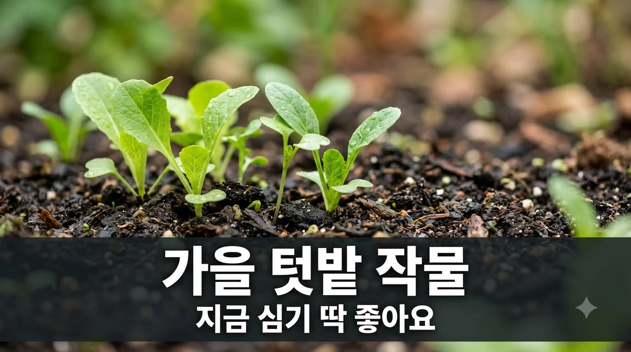 가을 텃밭 작물 추천! 9월에 심어 풍성하게 수확하는 5가지